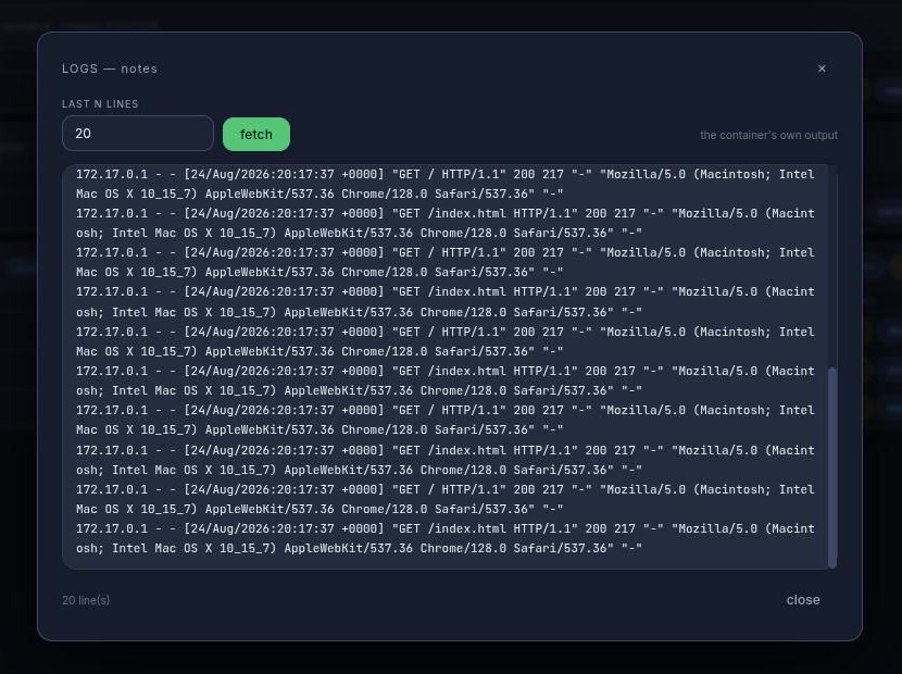The logs dialog for a project, showing recent nginx access-log lines and a field for how many trailing lines to fetch.